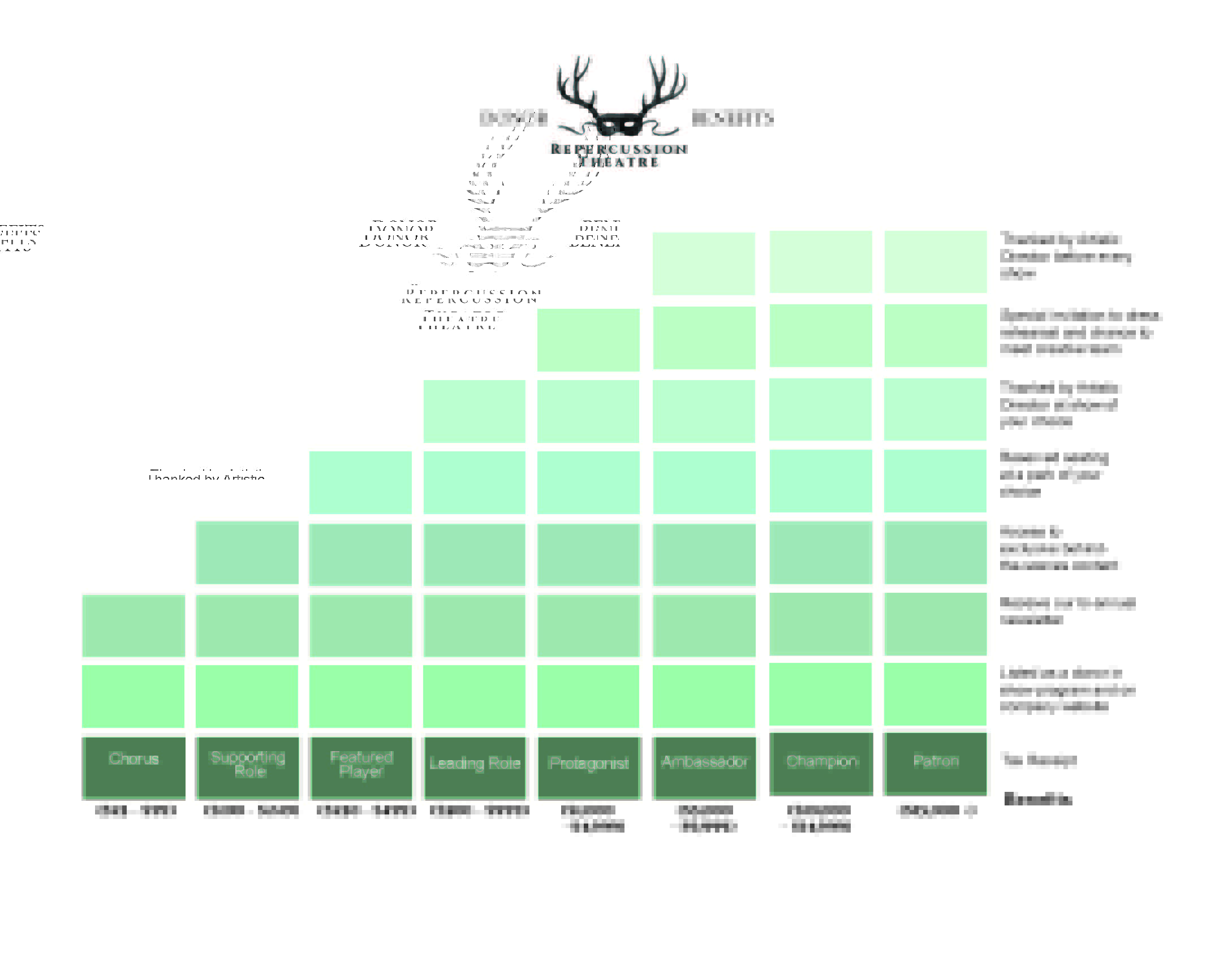 Reper_Donor_Graphic_ENG Graphic about the different donor levels. Please email Linnea Jimison at info@repercussiontheatre.com for more information.